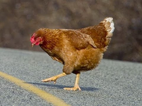 Descubre el Misterio de la Carretera de Pollo en Juegos en Línea España